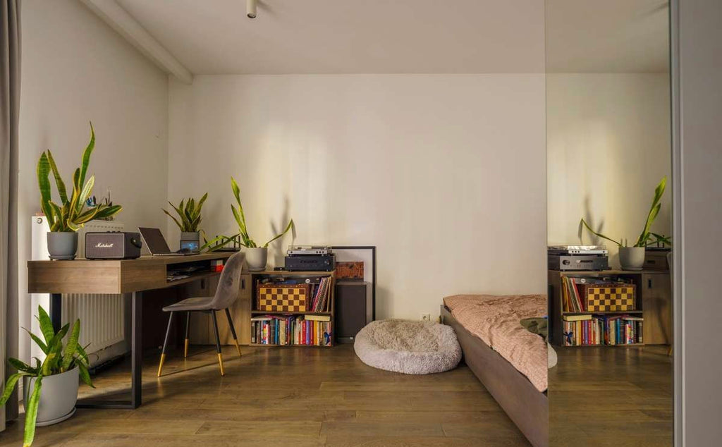 WYNAJEM | kawalerka | 40 m² | balkon | kamienica | Praga-Północ | Warszawa