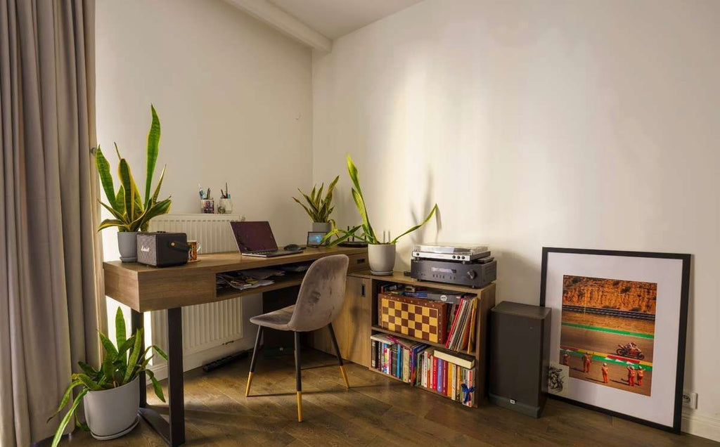 WYNAJEM | kawalerka | 40 m² | balkon | kamienica | Praga-Północ | Warszawa