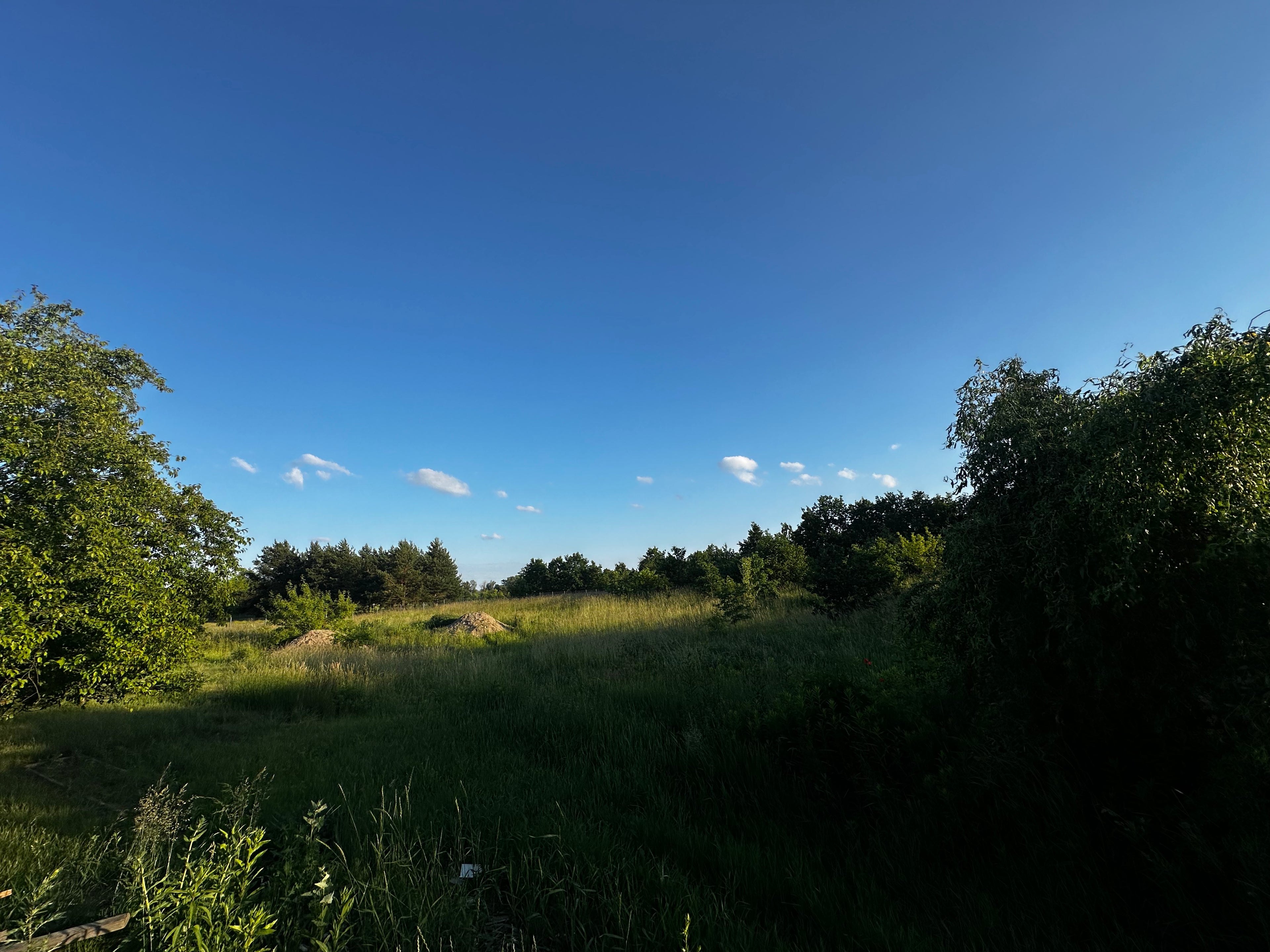 WYNAJEM | Działka usługowa | 3 000 m² | przy drodze | Krubin, woj. mazowieckie