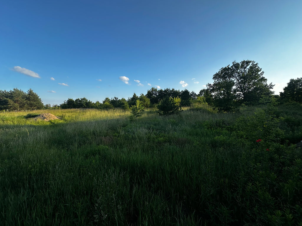 WYNAJEM | Działka 4 000 m² | strefa leśna | Krubin, woj. mazowieckie
