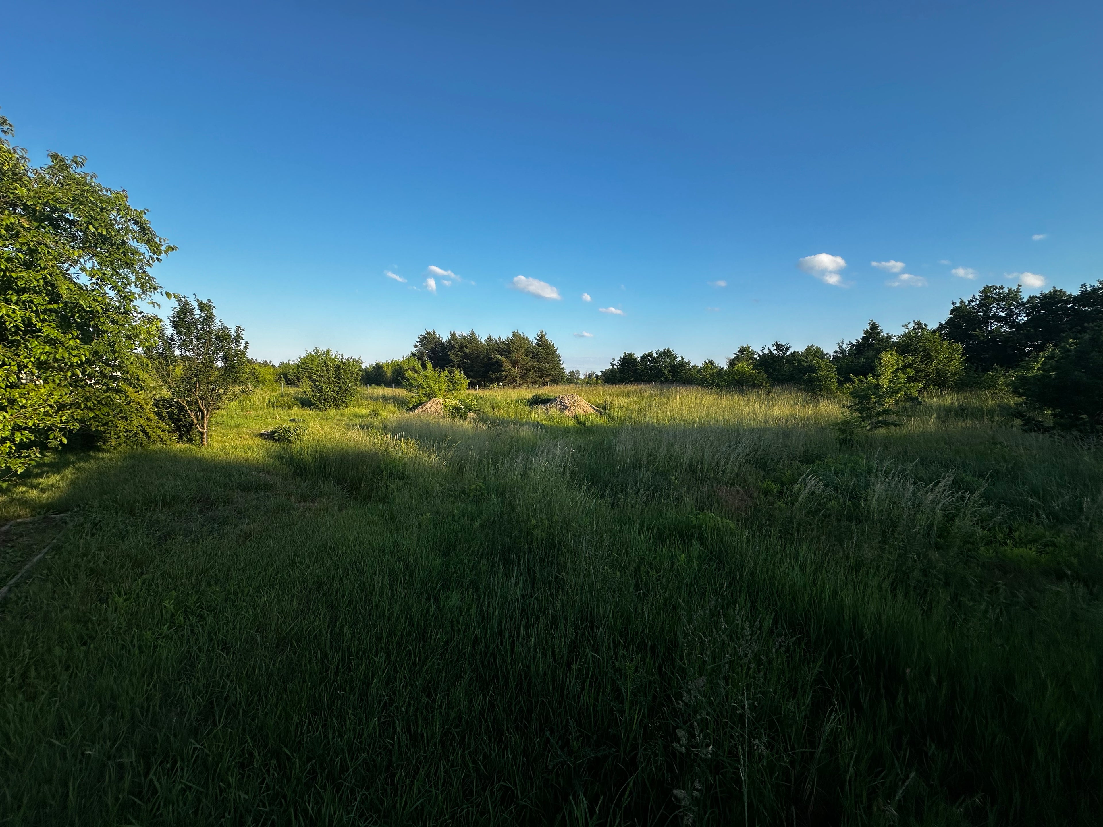 WYNAJEM | Działka usługowa | 1 ha | przy drodze | Krubin, woj. mazowieckie